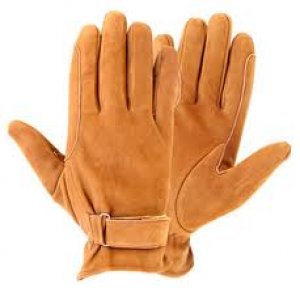 Riding Gloves